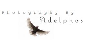 Photography By Adelphos