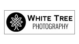 White Tree Photography