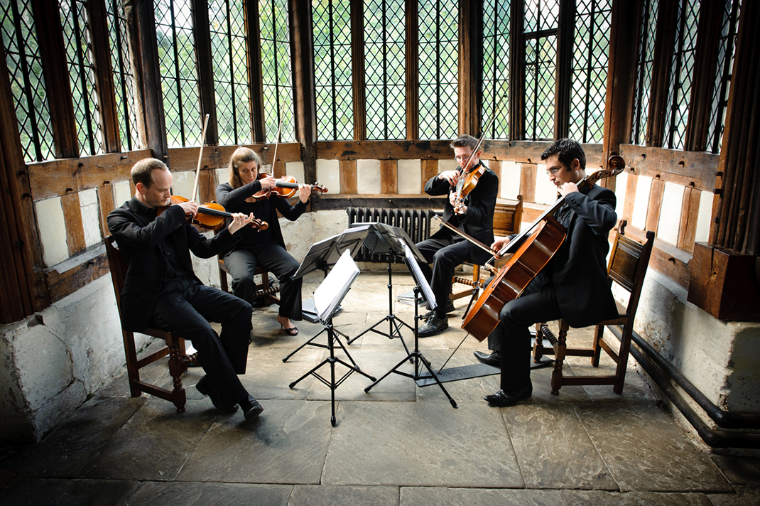 Wedding Classical Musicians