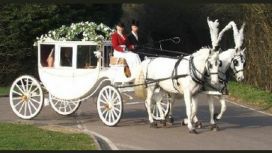 Carlton Carriages