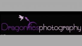 Dragonflies Photography